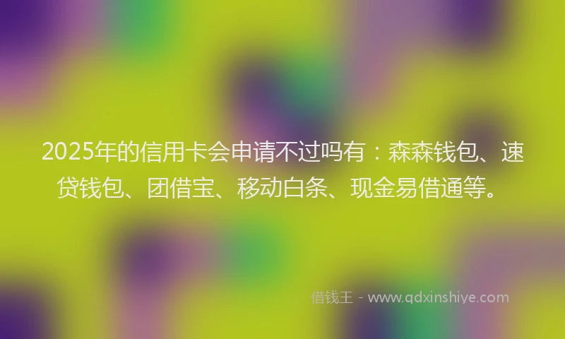 2025年的信用卡会申请不过吗有：森森钱包、速贷钱包、团借宝、移动白条、现金易借通等。