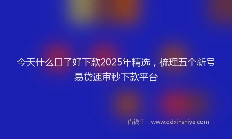 今天什么口子好下款2025年精选，梳理五个新号易贷速审秒下款平台