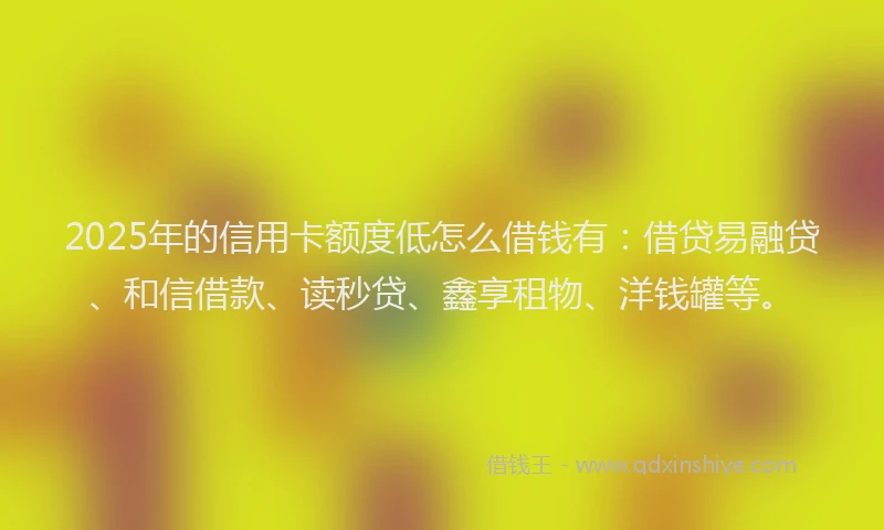 2025年的信用卡额度低怎么借钱有：借贷易融贷、和信借款、读秒贷、鑫享租物、洋钱罐等。