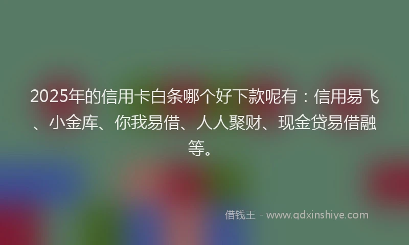 2025年的信用卡白条哪个好下款呢有：信用易飞、小金库、你我易借、人人聚财、现金贷易借融等。