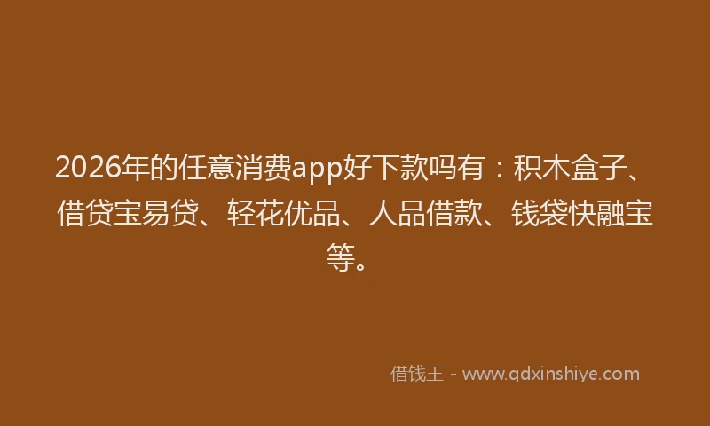 2026年的任意消费app好下款吗有:积木盒子、借贷宝易贷、轻花优品、人品借款、钱袋快融宝等。