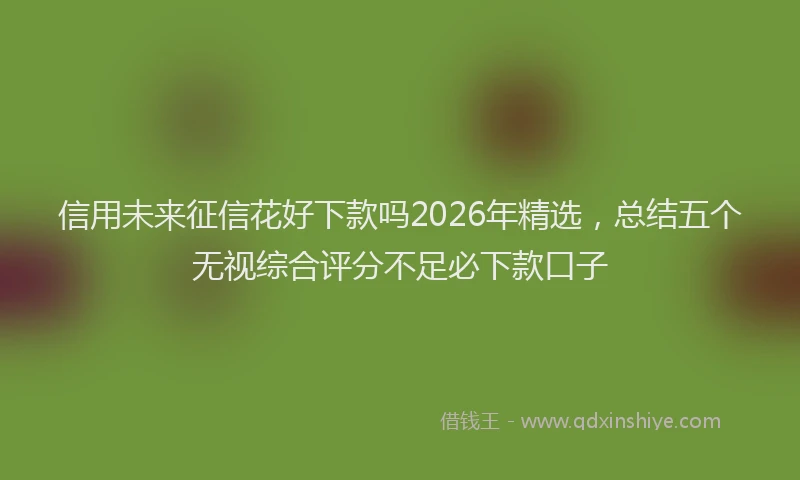 信用未来征信花好下款吗2026年精选，总结五个无视综合评分不足必下款口子