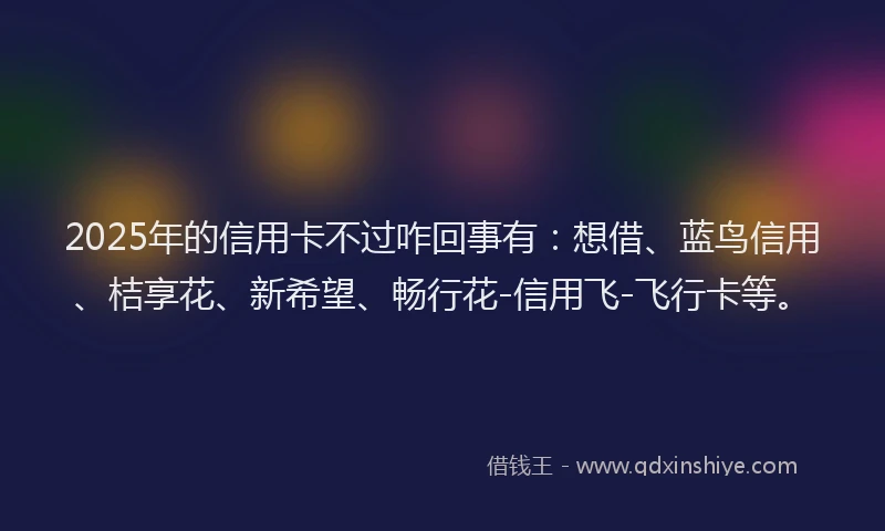 2025年的信用卡不过咋回事有：想借、蓝鸟信用、桔享花、新希望、畅行花-信用飞-飞行卡等。