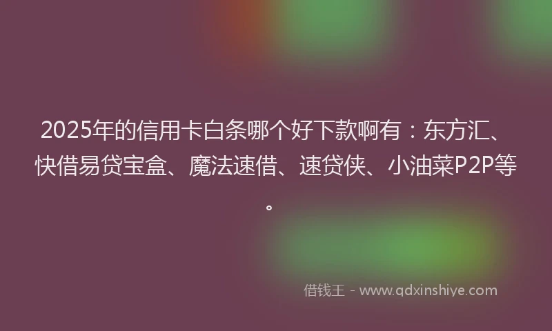 2025年的信用卡白条哪个好下款啊有:东方汇、快借易贷宝盒、魔法速借、速贷侠、小油菜P2P等。