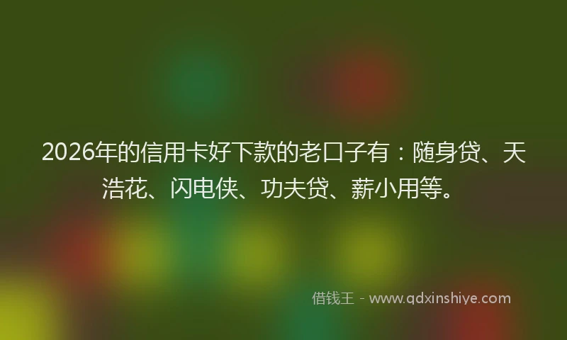 2026年的信用卡好下款的老口子有：随身贷、天浩花、闪电侠、功夫贷、薪小用等。