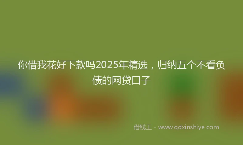 你借我花好下款吗2025年精选，归纳五个不看负债的网贷口子