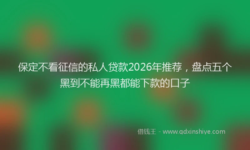 保定不看征信的私人贷款2026年推荐,盘点五个黑到不能再黑都能下款的口子