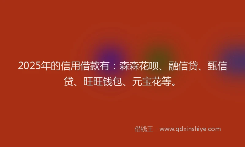 2025年的信用借款有：森森花呗、融信贷、甄信贷、旺旺钱包、元宝花等。