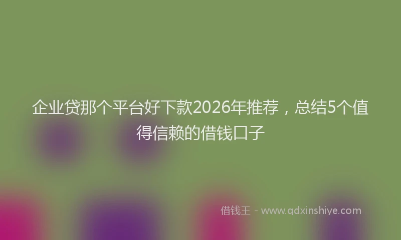 企业贷那个平台好下款2026年推荐，总结5个值得信赖的借钱口子