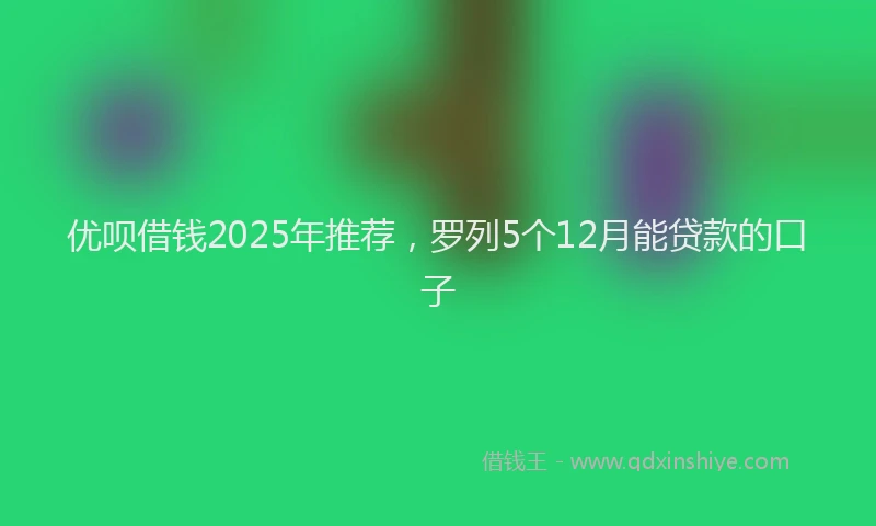 优呗借钱2025年推荐，罗列5个12月能贷款的口子
