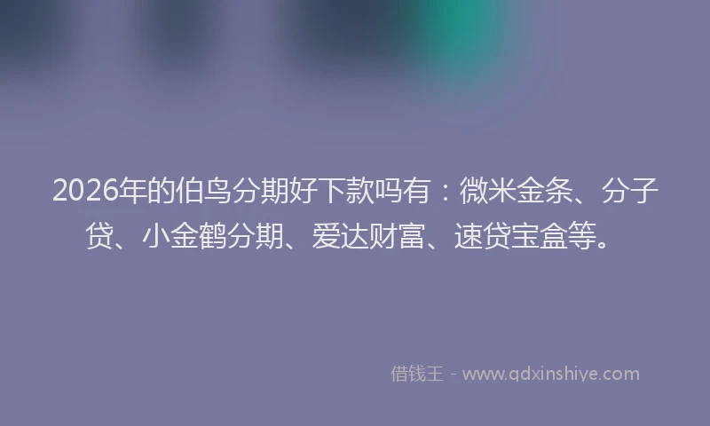 2026年的伯鸟分期好下款吗有：微米金条、分子贷、小金鹤分期、爱达财富、速贷宝盒等。