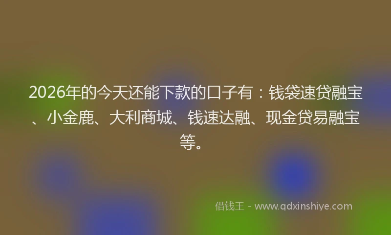 2026年的今天还能下款的口子有：钱袋速贷融宝、小金鹿、大利商城、钱速达融、现金贷易融宝等。