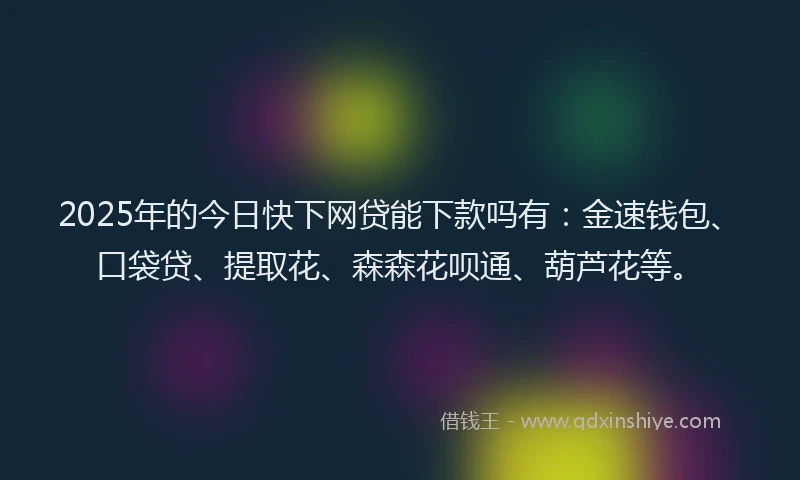 2025年的今日快下网贷能下款吗有：金速钱包、口袋贷、提取花、森森花呗通、葫芦花等。