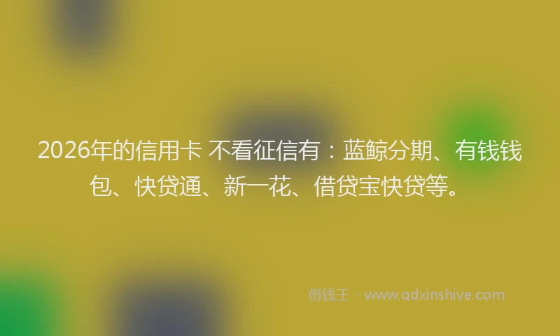 2026年的信用卡 不看征信有：蓝鲸分期、有钱钱包、快贷通、新一花、借贷宝快贷等。