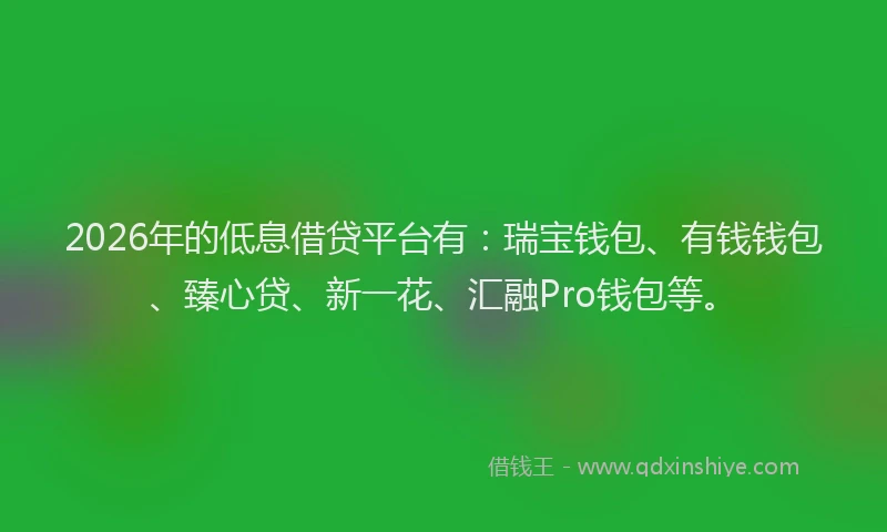 2026年的低息借贷平台有:瑞宝钱包、有钱钱包、臻心贷、新一花、汇融Pro钱包等。