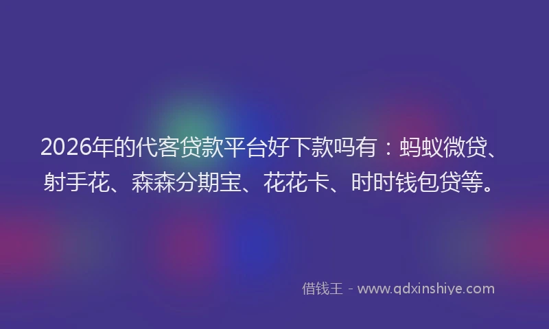 2026年的代客贷款平台好下款吗有：蚂蚁微贷、射手花、森森分期宝、花花卡、时时钱包贷等。