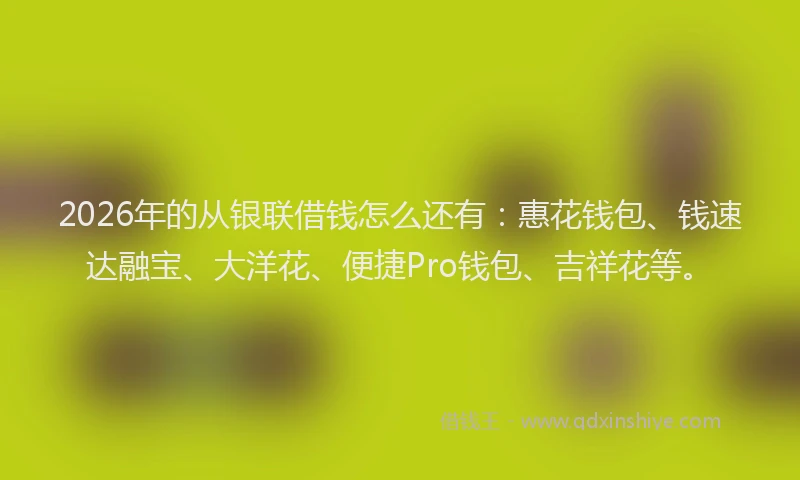 2026年的从银联借钱怎么还有:惠花钱包、钱速达融宝、大洋花、便捷Pro钱包、吉祥花等。