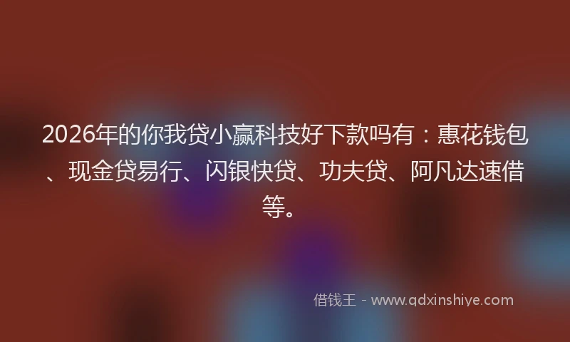 2026年的你我贷小赢科技好下款吗有：惠花钱包、现金贷易行、闪银快贷、功夫贷、阿凡达速借等。