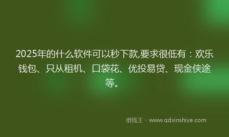 2025年的什么软件可以秒下款,要求很低有：欢乐钱包、只从租机、口袋花、优投易贷、现金侠途等。
