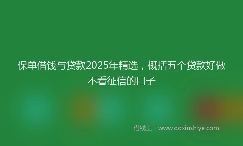 保单借钱与贷款2025年精选，概括五个贷款好做不看征信的口子