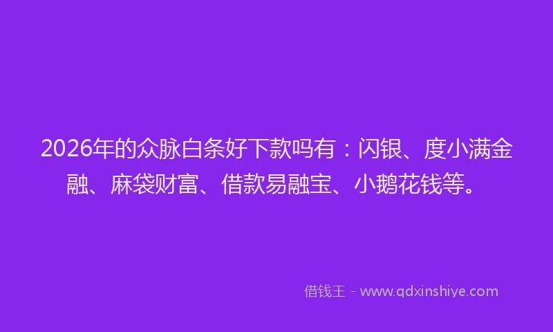 2026年的众脉白条好下款吗有：闪银、度小满金融、麻袋财富、借款易融宝、小鹅花钱等。