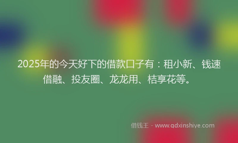 2025年的今天好下的借款口子有：租小新、钱速借融、投友圈、龙龙用、桔享花等。