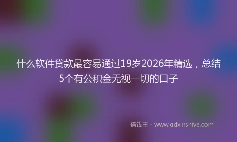 什么软件贷款最容易通过19岁2026年精选，总结5个有公积金无视一切的口子