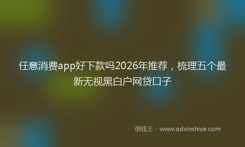 任意消费app好下款吗2026年推荐，梳理五个最新无视黑白户网贷口子