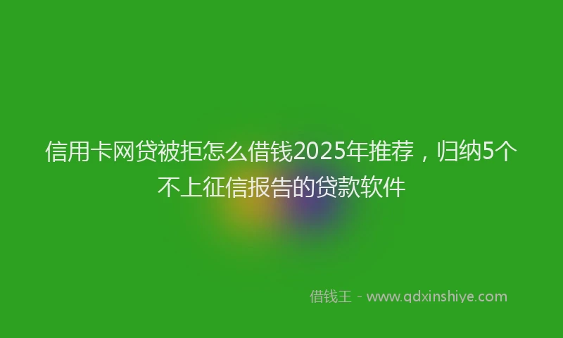 信用卡网贷被拒怎么借钱2025年推荐,归纳5个不上征信报告的贷款软件