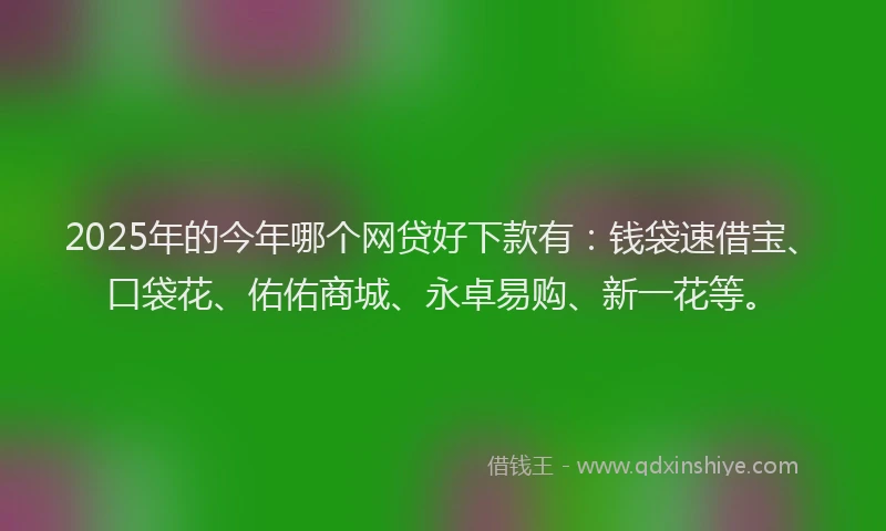 2025年的今年哪个网贷好下款有：钱袋速借宝、口袋花、佑佑商城、永卓易购、新一花等。