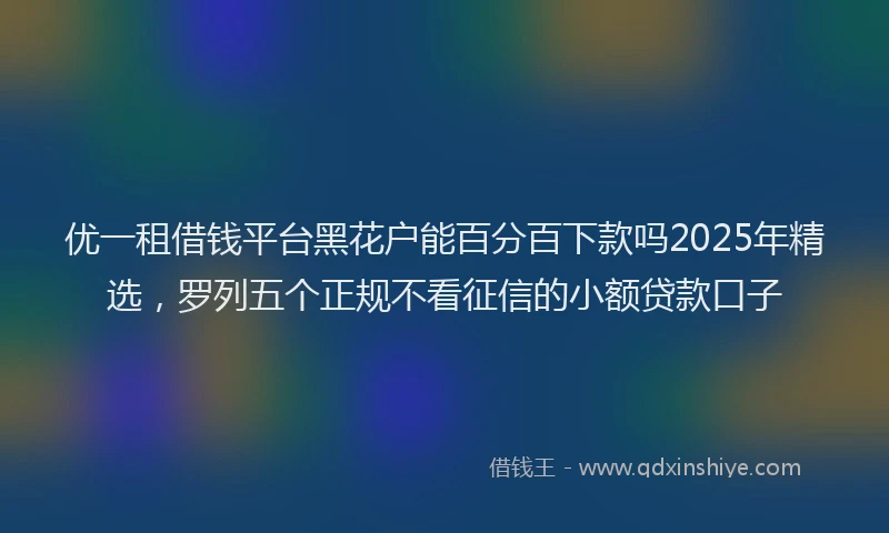 优一租借钱平台黑花户能百分百下款吗2025年精选，罗列五个正规不看征信的小额贷款口子