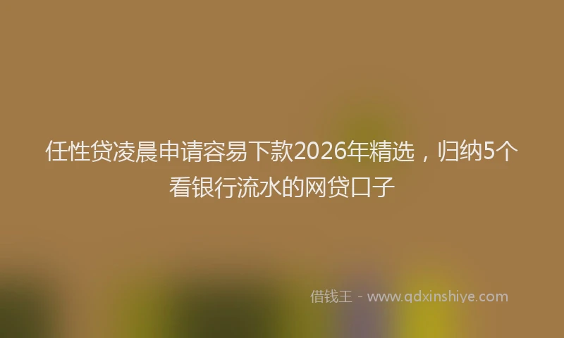 任性贷凌晨申请容易下款2026年精选,归纳5个看银行流水的网贷口子