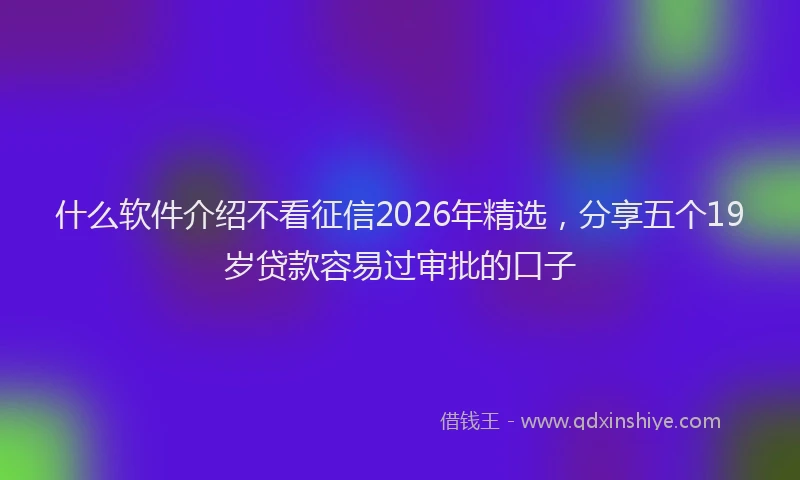 什么软件介绍不看征信2026年精选，分享五个19岁贷款容易过审批的口子