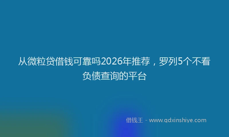 从微粒贷借钱可靠吗2026年推荐,罗列5个不看负债查询的平台