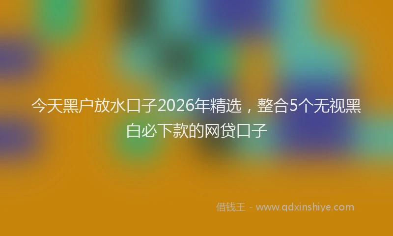 今天黑户放水口子2026年精选，整合5个无视黑白必下款的网贷口子