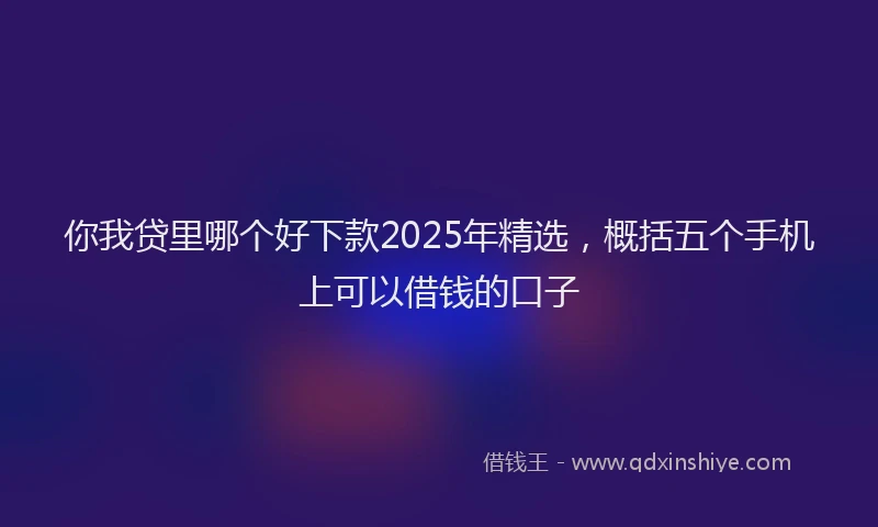 你我贷里哪个好下款2025年精选，概括五个手机上可以借钱的口子