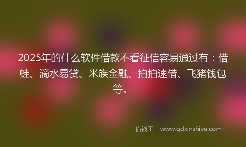 2025年的什么软件借款不看征信容易通过有：借蛙、滴水易贷、米族金融、拍拍速借、飞猪钱包等。