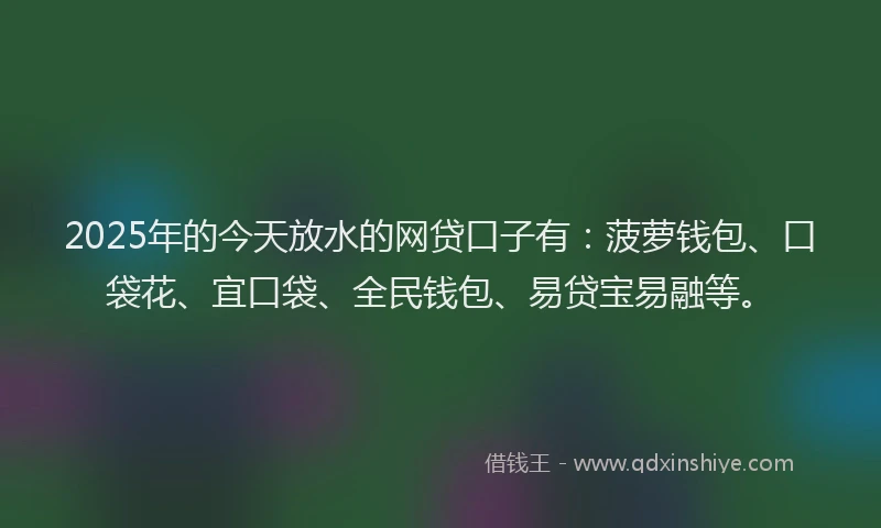 2025年的今天放水的网贷口子有：菠萝钱包、口袋花、宜口袋、全民钱包、易贷宝易融等。