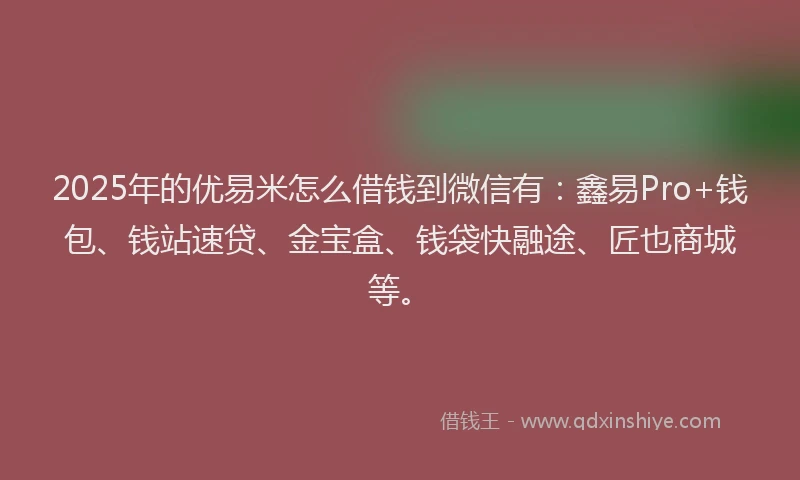 2025年的优易米怎么借钱到微信有：鑫易Pro+钱包、钱站速贷、金宝盒、钱袋快融途、匠也商城等。