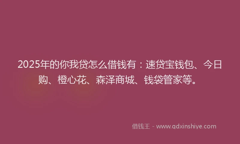 2025年的你我贷怎么借钱有：速贷宝钱包、今日购、橙心花、森泽商城、钱袋管家等。