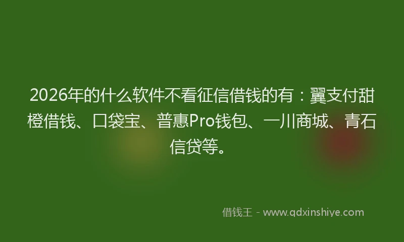 2026年的什么软件不看征信借钱的有：翼支付甜橙借钱、口袋宝、普惠Pro钱包、一川商城、青石信贷等。