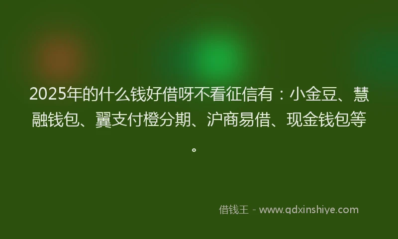 2025年的什么钱好借呀不看征信有:小金豆、慧融钱包、翼支付橙分期、沪商易借、现金钱包等。