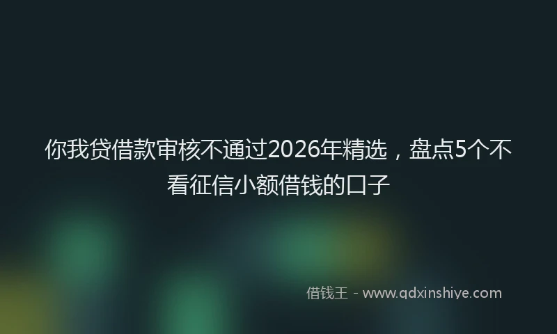 你我贷借款审核不通过2026年精选，盘点5个不看征信小额借钱的口子