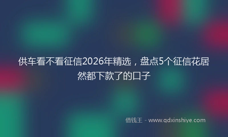 供车看不看征信2026年精选，盘点5个征信花居然都下款了的口子