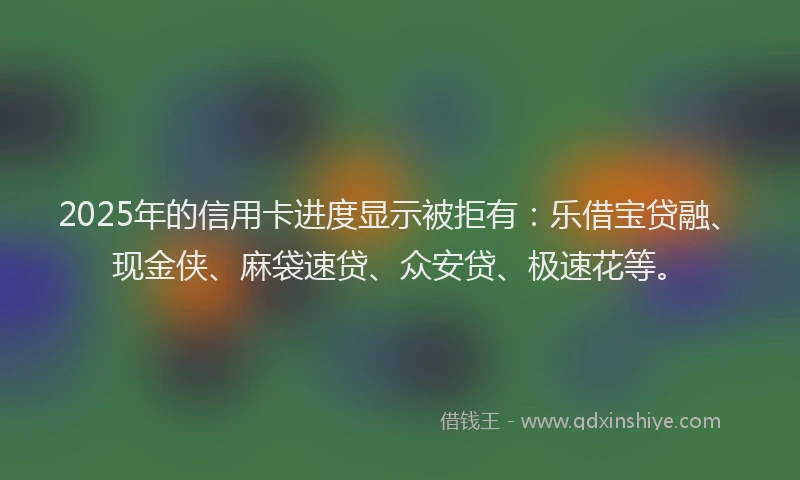 2025年的信用卡进度显示被拒有：乐借宝贷融、现金侠、麻袋速贷、众安贷、极速花等。
