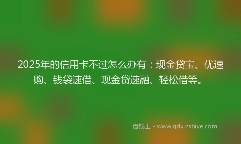 2025年的信用卡不过怎么办有：现金贷宝、优速购、钱袋速借、现金贷速融、轻松借等。