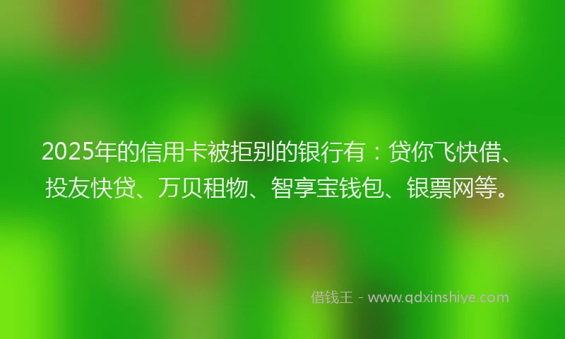 2025年的信用卡被拒别的银行有：贷你飞快借、投友快贷、万贝租物、智享宝钱包、银票网等。