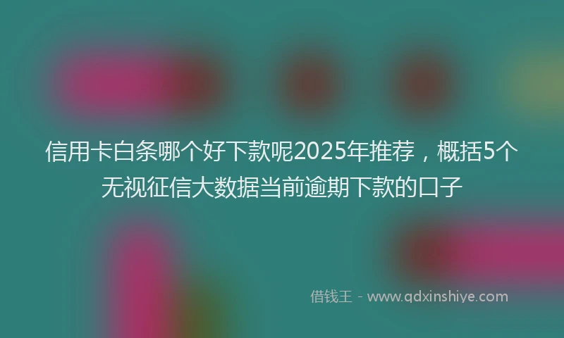 信用卡白条哪个好下款呢2025年推荐，概括5个无视征信大数据当前逾期下款的口子