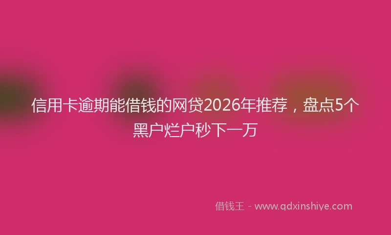 信用卡逾期能借钱的网贷2026年推荐，盘点5个黑户烂户秒下一万