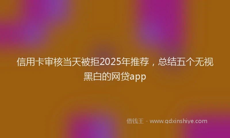 信用卡审核当天被拒2025年推荐，总结五个无视黑白的网贷app